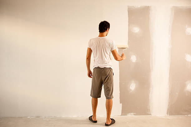 Best Drywall Sanding and Smoothing  in Gaylord, MI