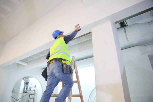 Best Drywall for New Construction  in Gaylord, MI